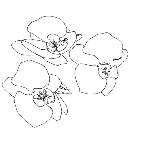 500x523 Blue Shades Future