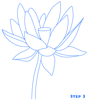 300x340 Download Lotus Flower Drawing Step By Step Tutorial Granny