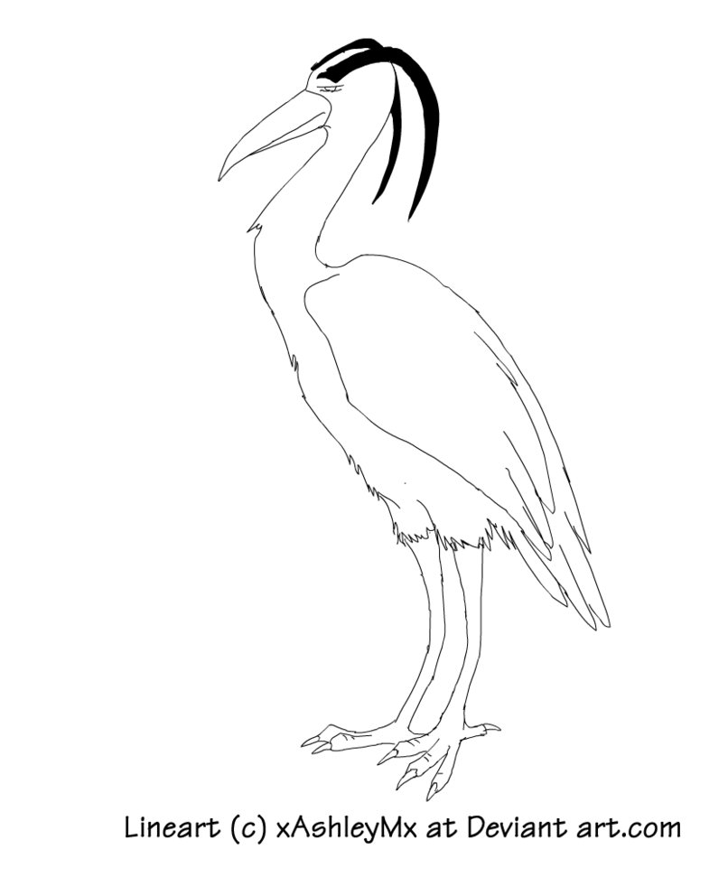 806x992 Great Blue Heron Lineart By Thecynicalhound