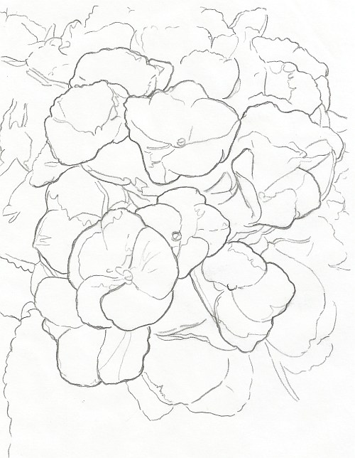 500x644 How To Draw Complex Flowers