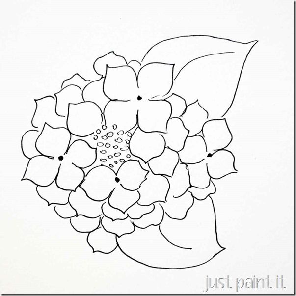603x603 Paint Hydrangea