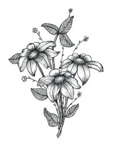 236x315 Wrap Around Original Pen And Ink Drawing By Jodidoodles On Etsy