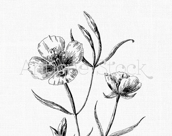 340x270 Blue Flower Clipart