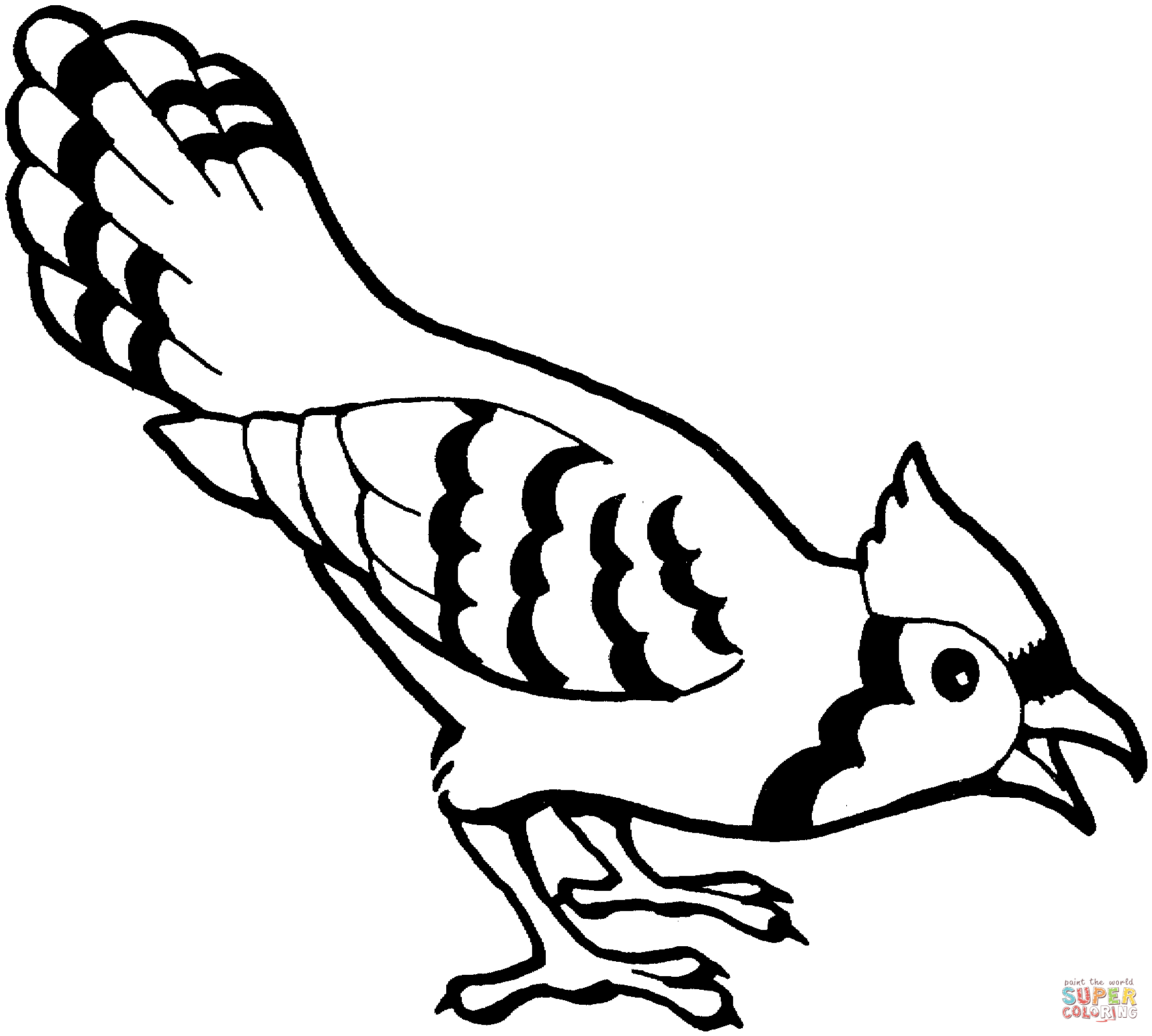 1771x1592 Blue Jay Bird Coloring Pages How To Draw Birds And Colouring