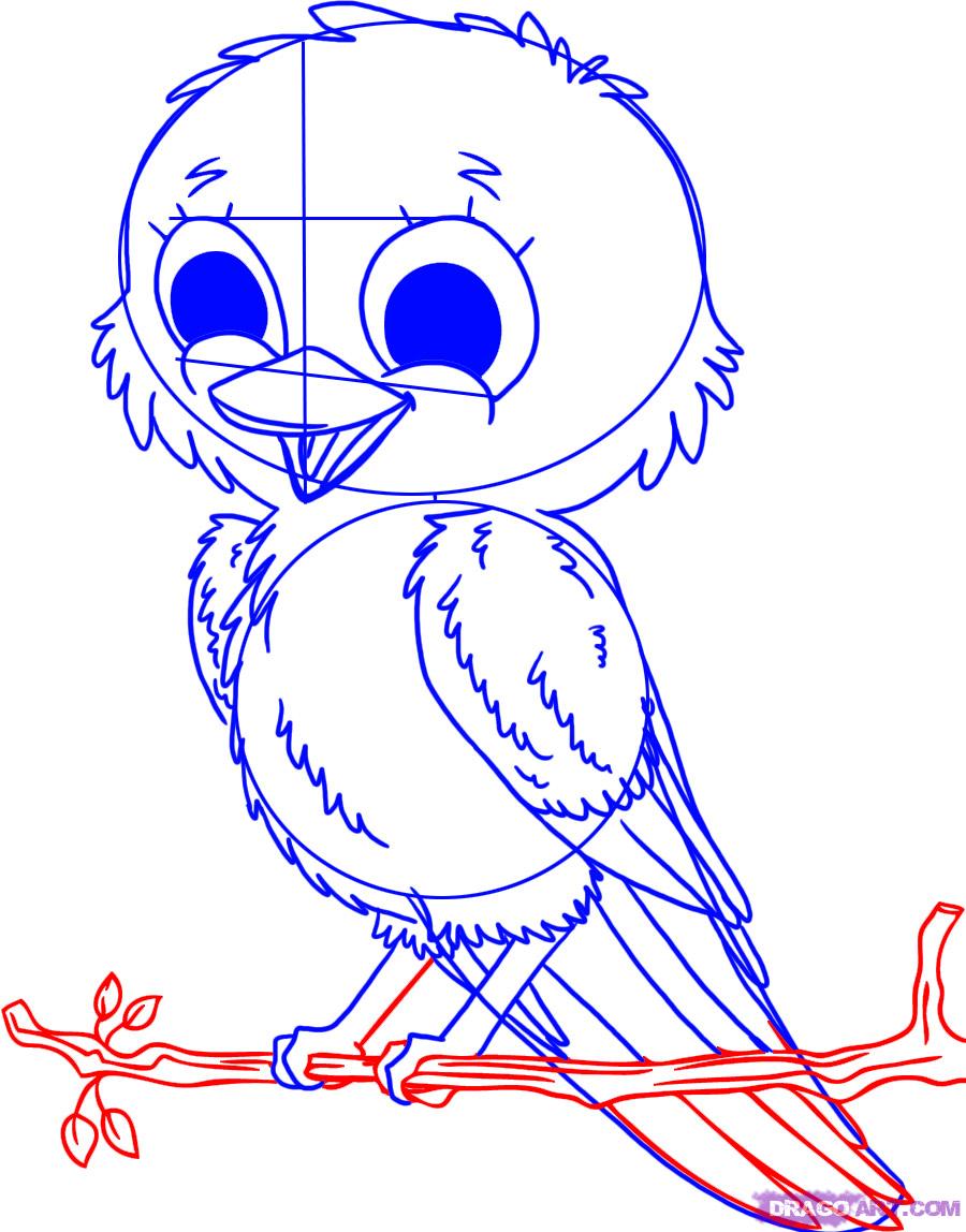 900x1148 How To Draw A Bird Step By Step Easy With Pictures Drawings