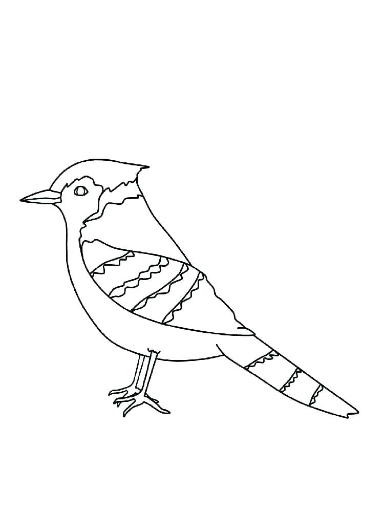 750x1000 Blue Coloring Page