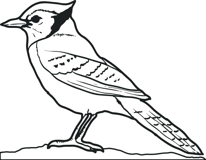 700x545 Blue Coloring Page Coloring Trend Medium Size Heart Coloring Pages