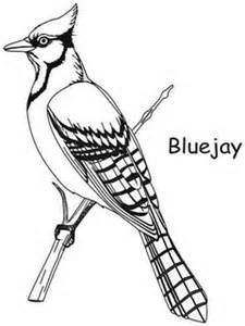 225x300 Blue Jay Glass Art Patterns And Patterns