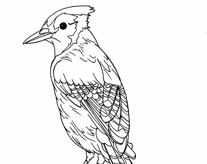 680x540 Coloring Pages