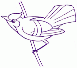 250x219 Exam Guide Online