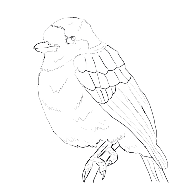 659x633 Gray Jay Weasyl