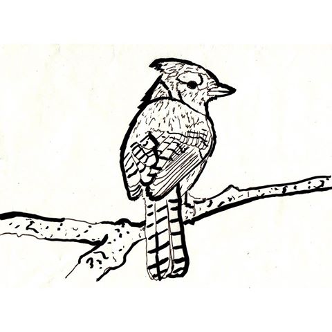 480x480 Hella Fine Art Amp Print Co (@letmedrawyourpicture) Instagram