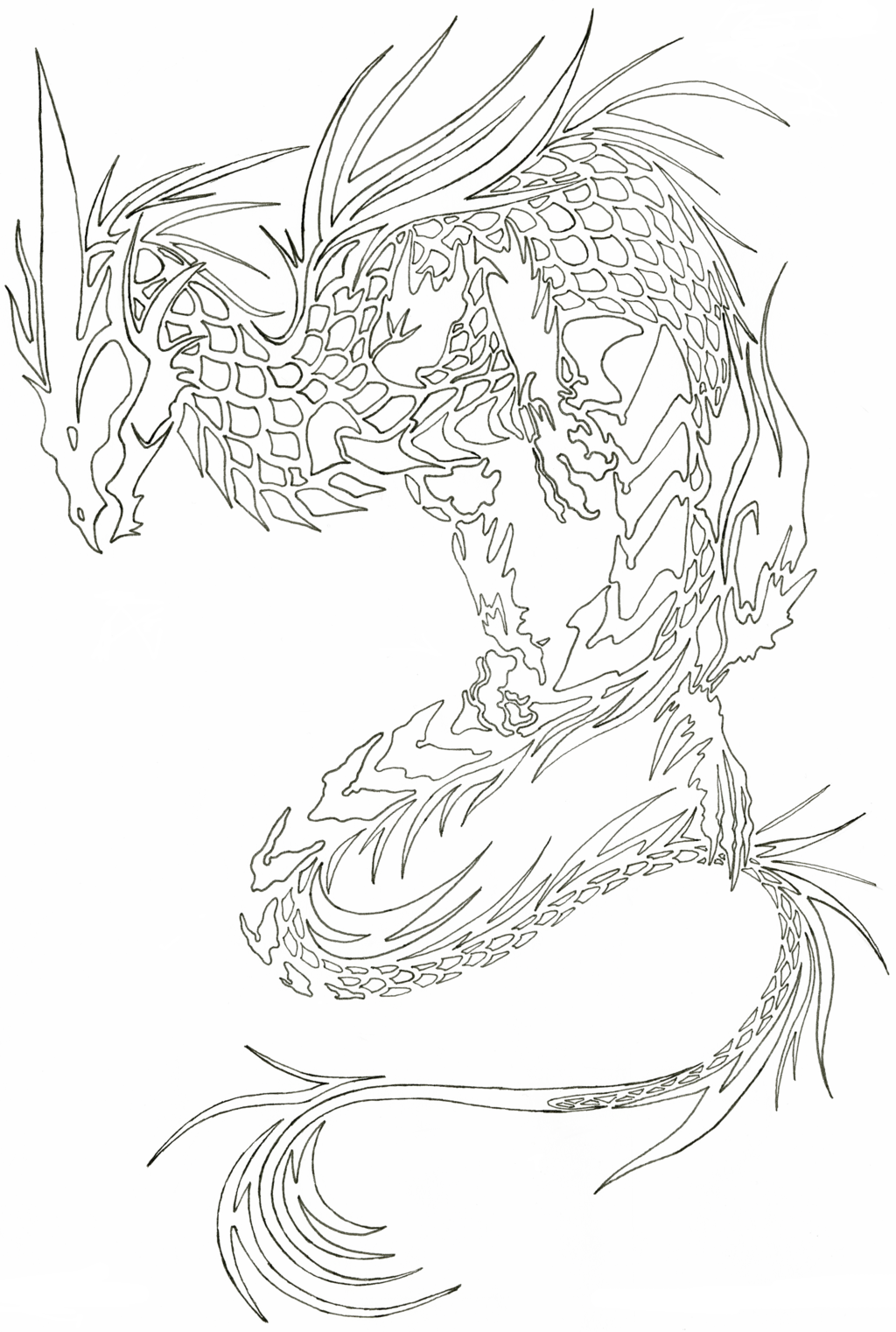 1024x1522 Curved Lines By Blue Saphi Dragon