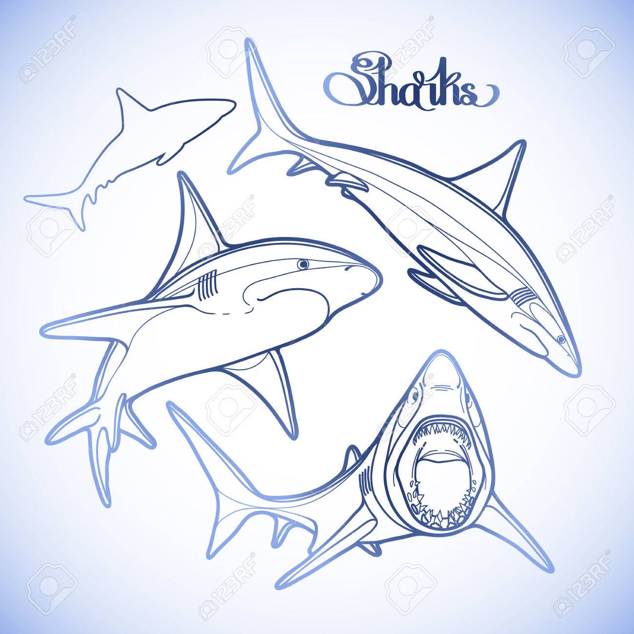 1300x1300 Graphic Collection Of Vector Sharks Drawn In Line Art Style