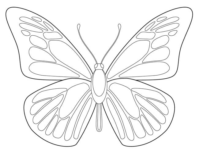 650x502 Free Butterfly Printable Butterfly Drawing, Butterfly