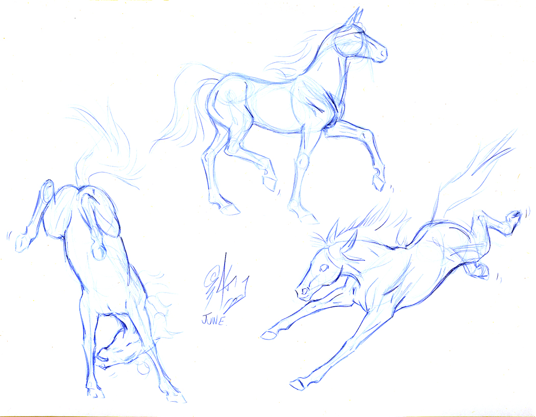 1050x817 Blue Pencil By Nypd