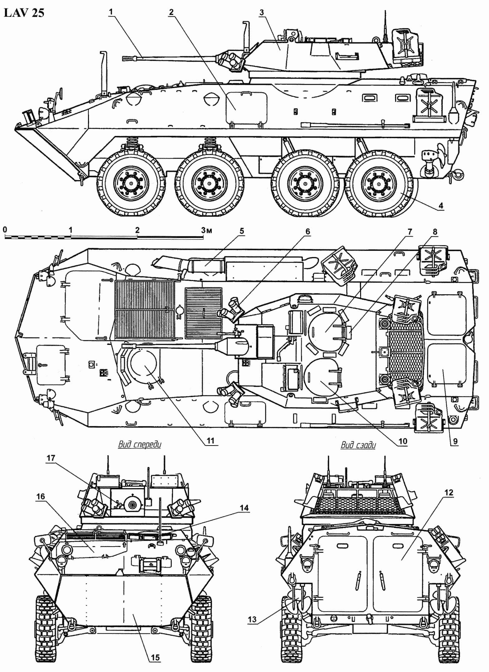 1567x2155 Lav 25 Blueprint