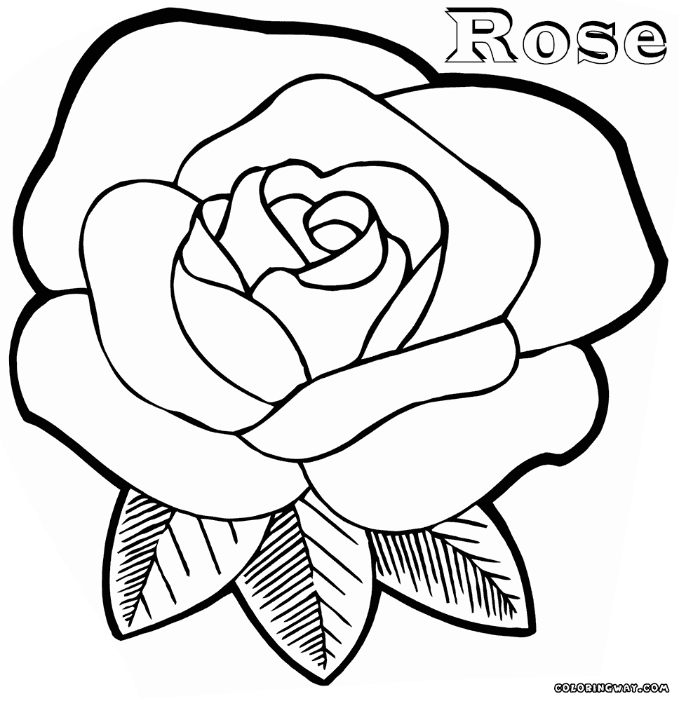 968x1000 Rose Coloring Pages Coloring Pages To Download And Print