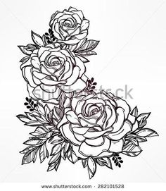236x271 Blue Roses Drawing Vintage