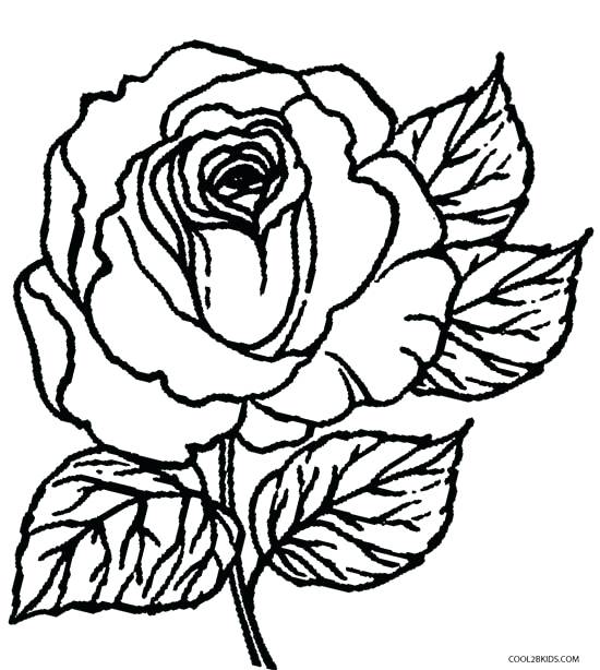 Blue Rose Drawing at GetDrawings | Free download