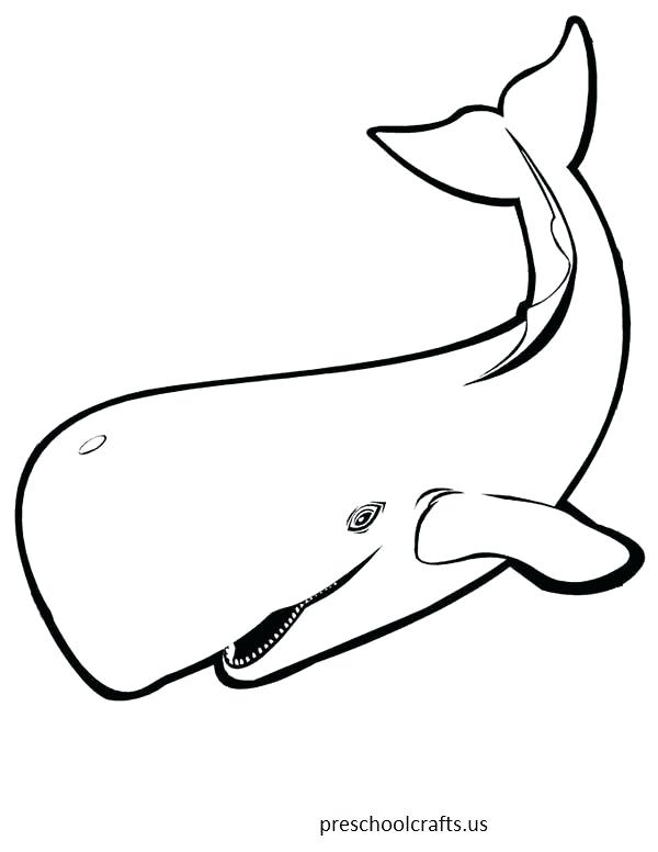600x776 Whales Coloring Pages Download Whale Coloring Pages Whale Coloring
