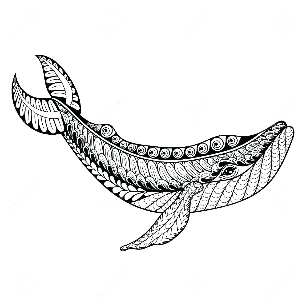 1300x1300 Coloring Blue Whale Coloring Pages