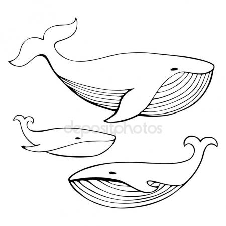 450x450 Cartoon Hand Drawn Whales Set. Monochrome Vector Illustration