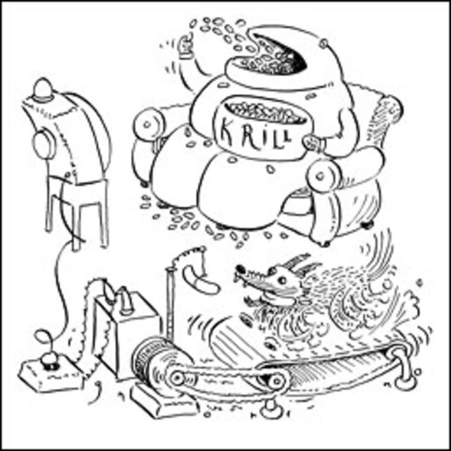 640x640 Does The Average American Use More Energy Than A Blue Whale