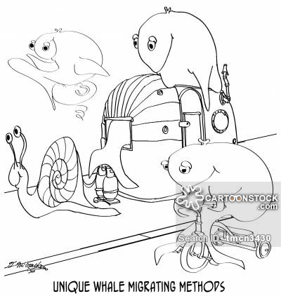 400x422 Blue Whale Cartoons And Comics