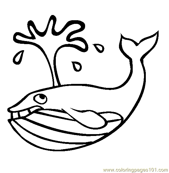 554x565 Blue Whale Coloring Page