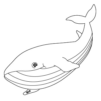 350x350 Buy Whale Organic Baby Amp Kids Clothing I Endanzoo