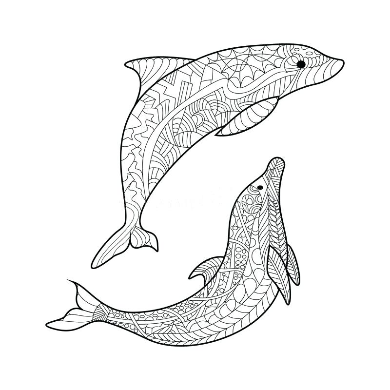 800x800 Dolphin Coloring Book Also Dolphin Coloring Book Together