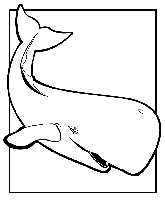 680x880 Free Printable Whale Coloring Pages For Kids