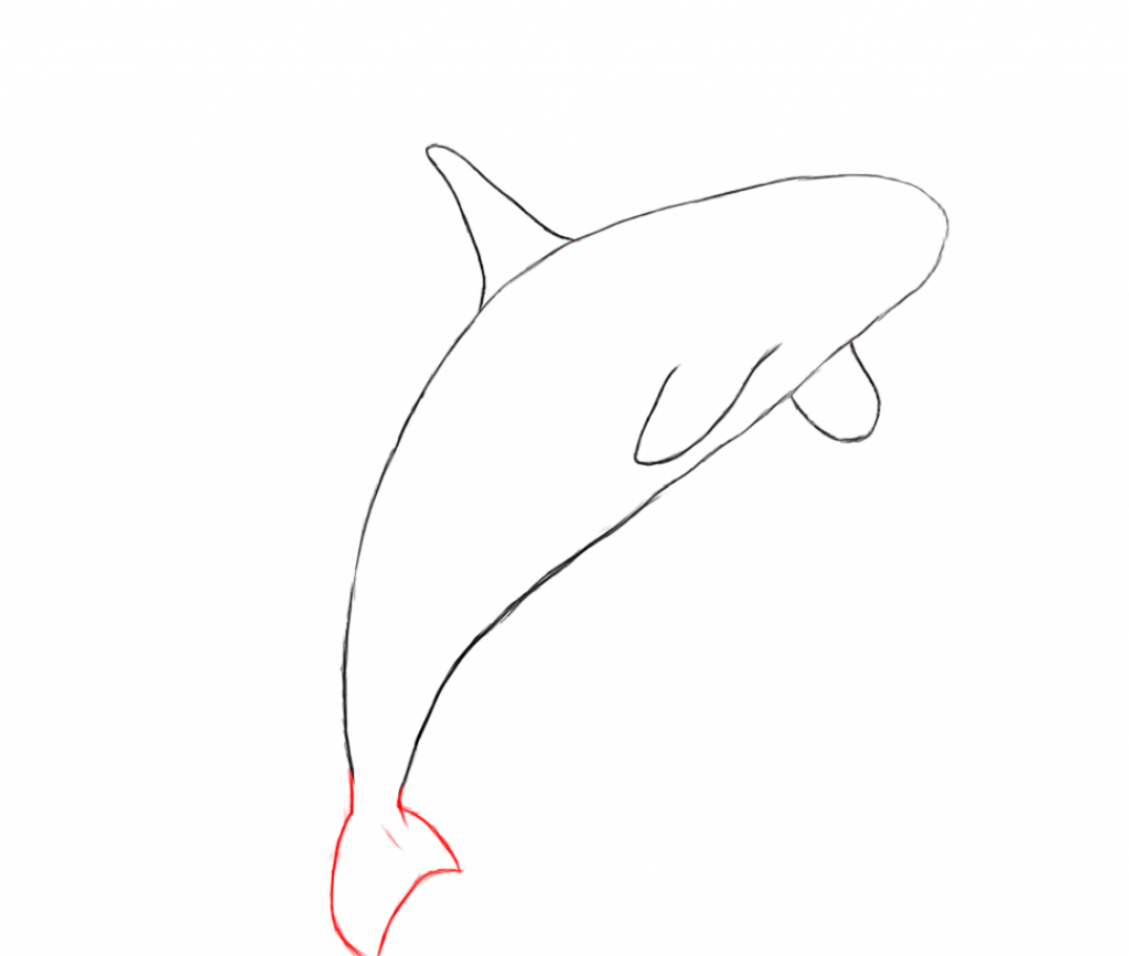 1024x867 How Do You Draw A Whale 1000 Images About Whales