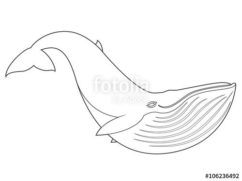 500x375 Vector Illustration Of A Blue Whale On White Background With Black