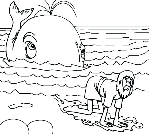 618x556 Whale Coloring Sheets