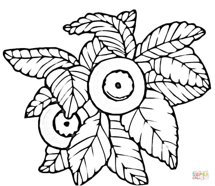 750x650 Blueberry Coloring Pages Free Coloring Pages