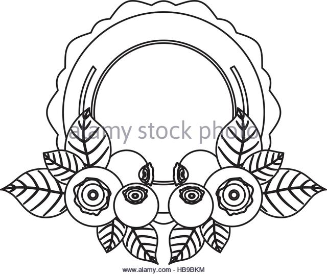 640x539 Blueberry Drawing