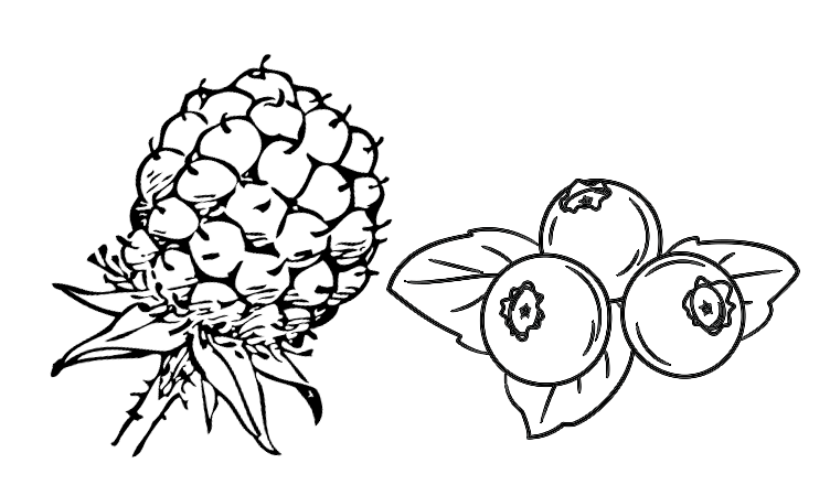 752x440 Pick And Eat Raspberry And Blueberry Farms In Ottawa Haymow