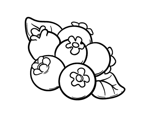 600x470 Blueberries Coloring Page