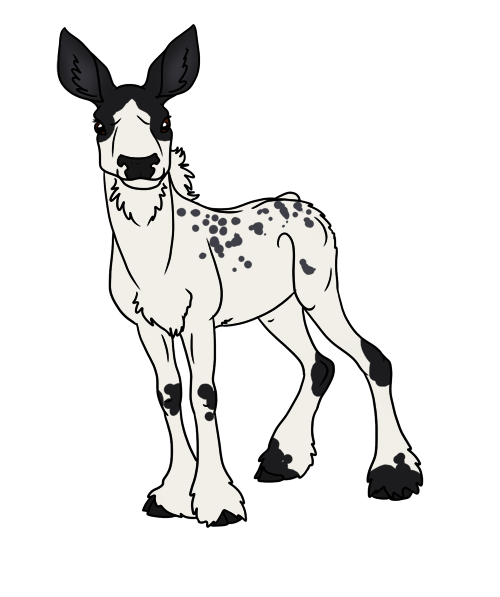 500x597 Blueberry Pie Classic Type Gelding By Bovidaeloony