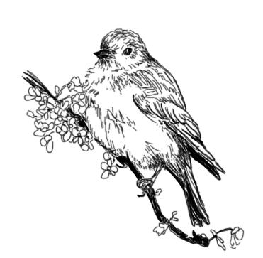 371x363 The Kitchen Table Crafter Free Digi Sketch Bluebird