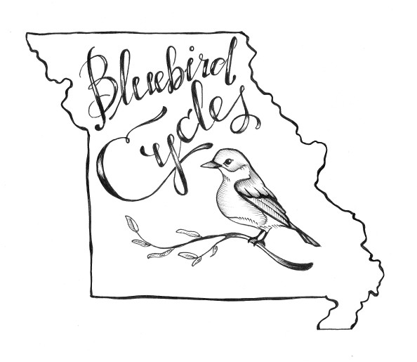 594x515 Bluebird Cycles