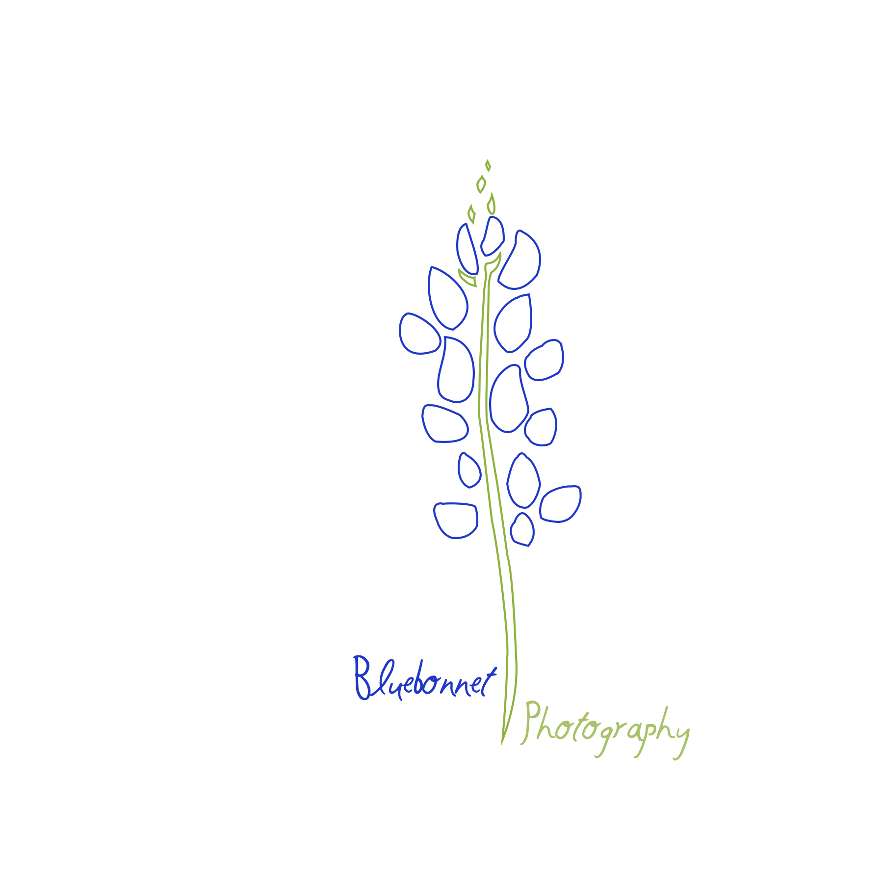 1800x1800 Bluebonnet Photography