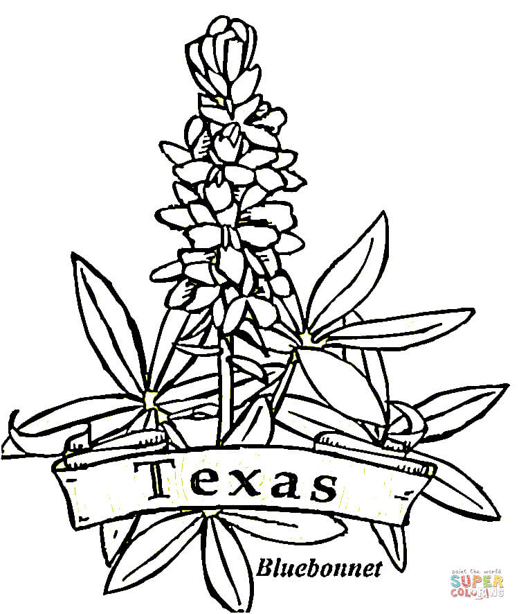 750x886 Outstanding Texas Coloring Pages 90 With Additional Gallery