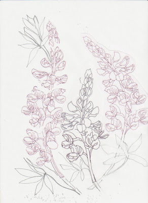 292x400 Lupine Flower