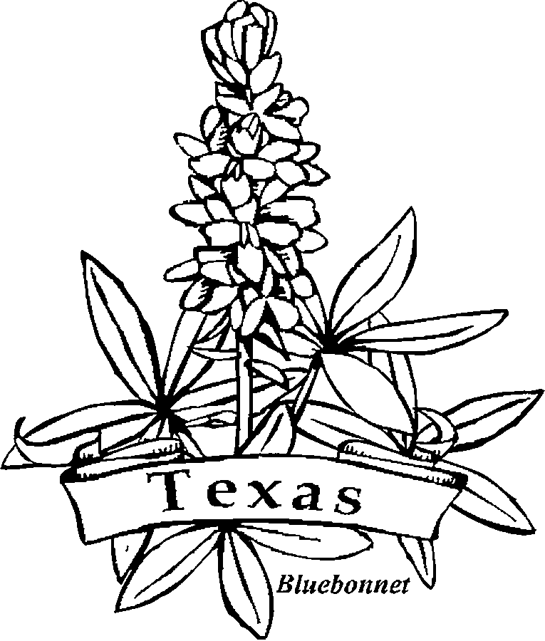 765x900 Texas Coloring Pages
