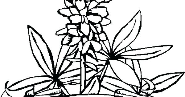 600x315 Codetracer.co Page 46