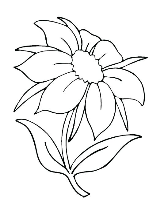 548x685 Free Printable Coloring Pages Of Flowers Genesisar.co