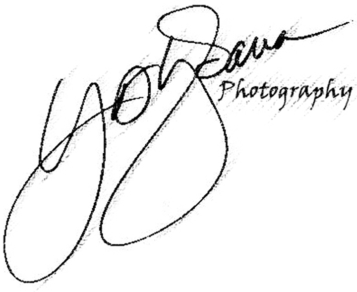 720x589 Texas Bluebonnets Y. A. Ybarra